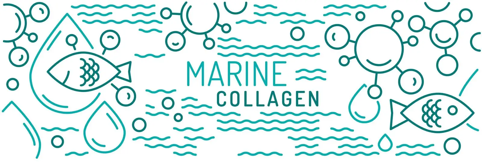 Marine collagen graphics fish ocean smaller molecular size bovine porcine better absorption hydrolyzed peptides optimal skin penetration type 1 collagen human skin sustainable sourcing MSC certified fisheries 5% concentration clinical strength bioactive peptides stimulate natural collagen production